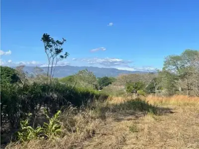 À Vendre : Magnifique terrain plat à La Ceiba, Orotina 5