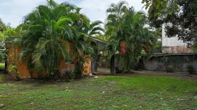 À Vendre / Emplacement de Rêve à Jacó ! Terrain de 9 817 pi² vous attend 5