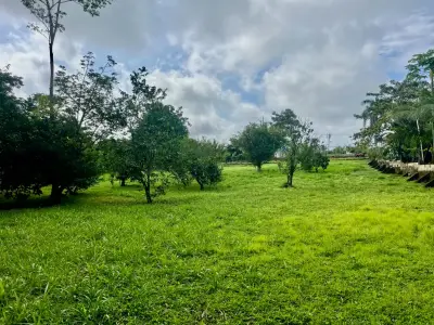 Spacious 2,600 m2 Lot with Fruit Trees near Santa Teresa - Ready to Build 2