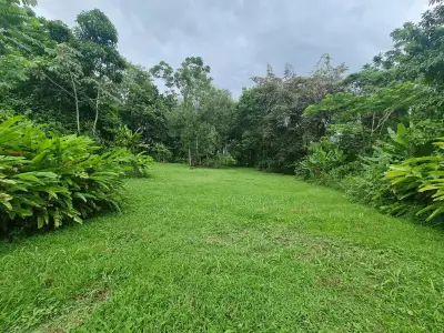 Ferme à vendre à San Ramon 2