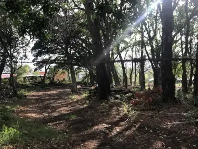 Terrain à bâtir à San Ana Salitral 4