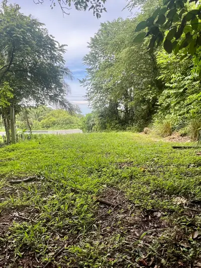 Exclusive Lot Facing Playa Hermosa: Investment and Tropical Lifestyle 5