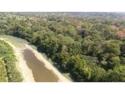 102 hectares de terrain à Nanabri, Limón 1