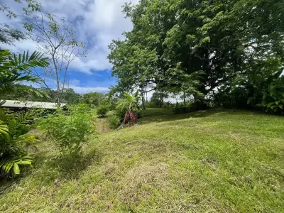 Propriété de rêve à Delicias : 7 100 m² de terrain luxuriant avec ruisseau et arbres fruitiers – À quelques minutes de Santa Teresa 1