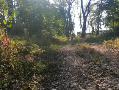 Serene Mountain Lot in Santa Teresa