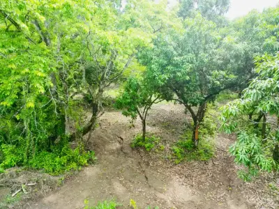 Enchanting 9,800 m² Land Surrounded by Jungle and Nature. A Peaceful Retreat Near Santa Teresa, Mal País, and Cabuya 5