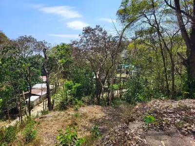 Magnifique terrain tropical de rêve à vendre 1