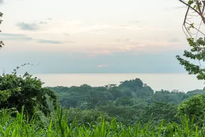 Family Estate in Mal País | Walk to the Beach, Ocean Views & Tropical Gardens 5