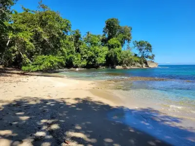 Terrain Au Bord De La Plage Et Réserve Biologique À Limón 2