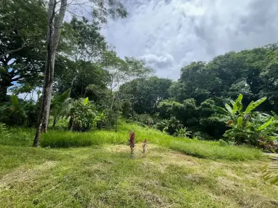 Propriété de rêve à Delicias : 7 100 m² de terrain luxuriant avec ruisseau et arbres fruitiers – À quelques minutes de Santa Teresa 2