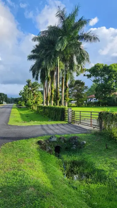 Propriété imposante à vendre, Guapiles, Pococí, Limón 5