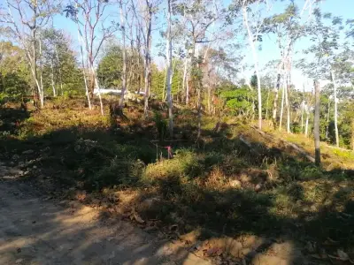 Terrain Serein avec Vue sur la Jungle à Santa Teresa 3