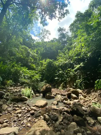 Terrain exclusif avec rivière et forêt à Garabito : Votre sanctuaire d'intimité au Costa Rica 5