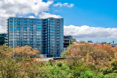 Nouvel appartement moderne d'une chambre à San José | Commodités de luxe. 1