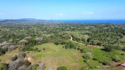 Exceptional 32-Hectare Finca for Sale Near Santa Teresa, Costa Rica – $12.50/m² 4