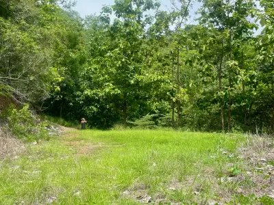 Magnifique terrain de 5 501 m² avec vue sur l'océan à Tambor 3