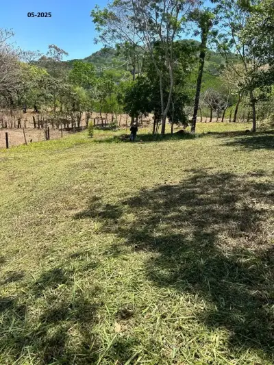 Votre rêve Costaricain vous attend : Lot de 2000 m² avec vue sur la montagne à Turrubares 3