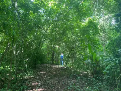 Terrain exclusif avec rivière et forêt à Garabito : Votre sanctuaire d'intimité au Costa Rica 4