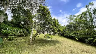 Lot Avec Maison À Vendre À San Ramón, Alajuela 5