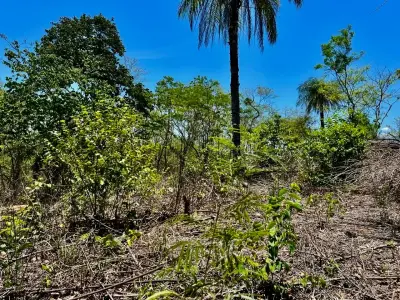 Terrain de choix à développer avec vue sur la Réserve Carara et la rivière Tárcoles | 2 hectares 5