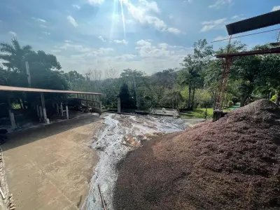 Coffee Farm, Processing Plant, and Luxury Home for Sale in Atenas 5