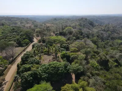 Terrain exclusif avec rivière et forêt à Garabito : Votre sanctuaire d'intimité au Costa Rica 1