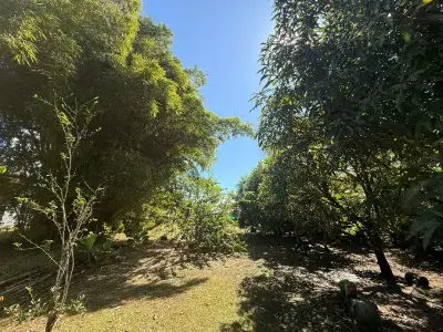 Magnifique terrain près du centre-ville 2