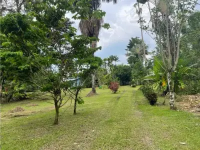 Paradis caribéen à Guácimo, Limón 4