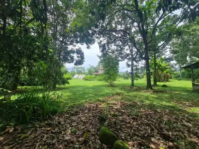 Ferme à vendre à San Ramon 5