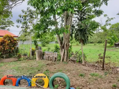 Terrain de choix à vendre à Palmares, Pérez Zeledón 4