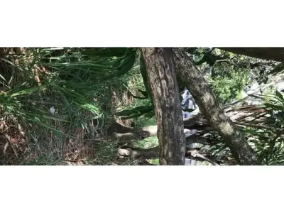 Terrain, terrain à Montecito, Santa Ana Salitral ST