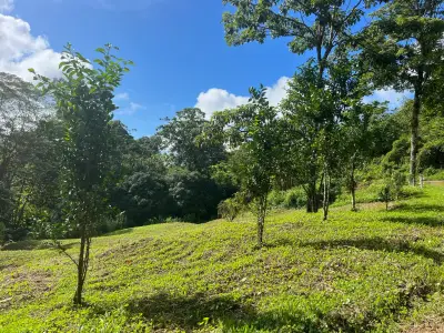 Spectaculaire ferme écologique en montagne à Bijagual 2