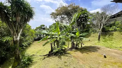 Lot Avec Maison À Vendre À San Ramón, Alajuela 4