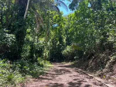 Terrain de développement exceptionnel de 5028 m² à Jacó, Costa Rica – Des possibilités infinies vous attendent 2