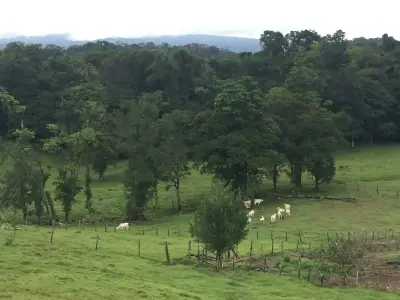 Majestueux ranch et terres agricoles de 83 hectares à Sarapiquí, Costa Rica | Développez votre rêve 4