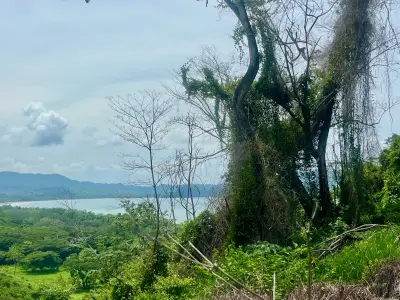 Magnifique terrain de 5 501 m² avec vue sur l'océan à Tambor 4
