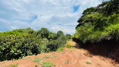 Terreno En Venta En Atenas, Puntarenas 5