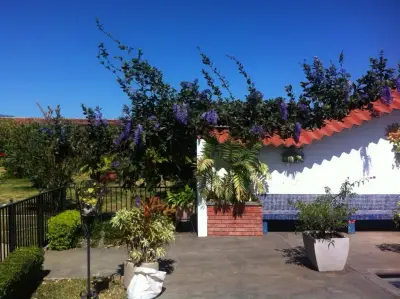 À Vendre : Quinta à San Rafael de Alajuela 2