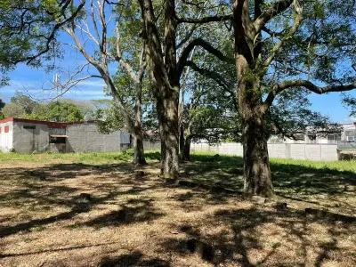 À Vendre : Grand terrain à Ciudad Colón 3