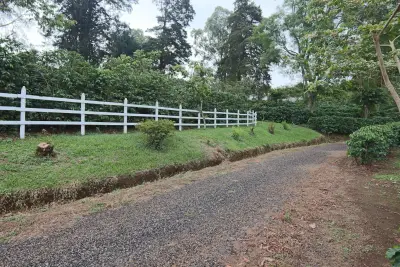 For Sale: Premium Coffee farm with processing mill, with great tourism potential 3