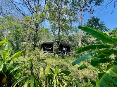 3 Homes in Santa Teresa, Costa Rica 8,000m² minutes to Playa Carmen and Income Producing Property 2