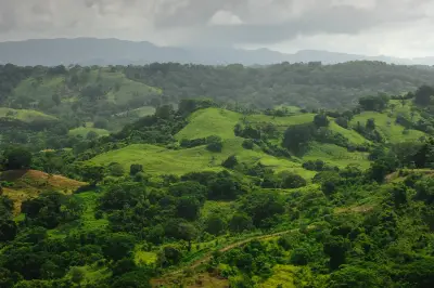 Près de 90 hectares de beauté jungle intacte avec vue imprenable sur l'océan, à quelques pas de la plage dans la Zone Bleue du Costa Rica. 2