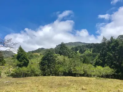 À Vendre / Magnifique Terrain (Avec Permis d'Usage Commercial) San Isidro, Heredia 2