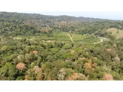 102 hectares de terrain à Nanabri, Limón 2