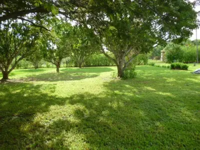 Vaste terrain de 11 380 m² à Orotina, Alajuela - Idéal pour développement ou domaine privé 1