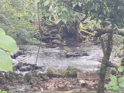 À Vendre : Quinta à Turrucares Alajuela 5
