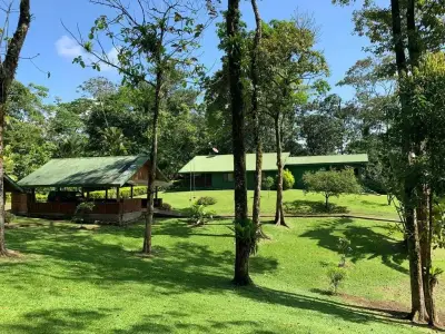 Magnifique propriété touristique de 480 000 m² à Alajuela 3