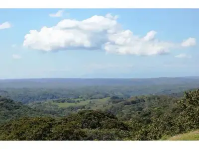 For Sale: Estate in Turrubares 2