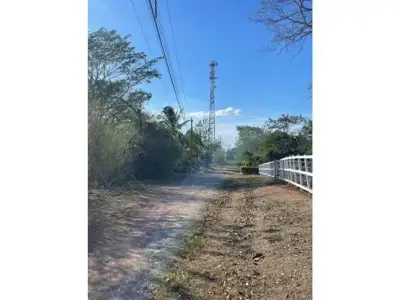 À Vendre : Magnifique terrain plat à La Ceiba, Orotina 4