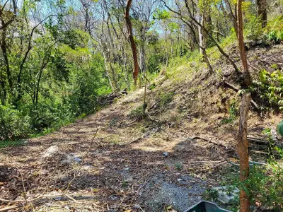 Magnifique terrain tropical de rêve à vendre 5